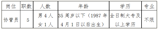 招聘崗位、職數(shù)及條件 